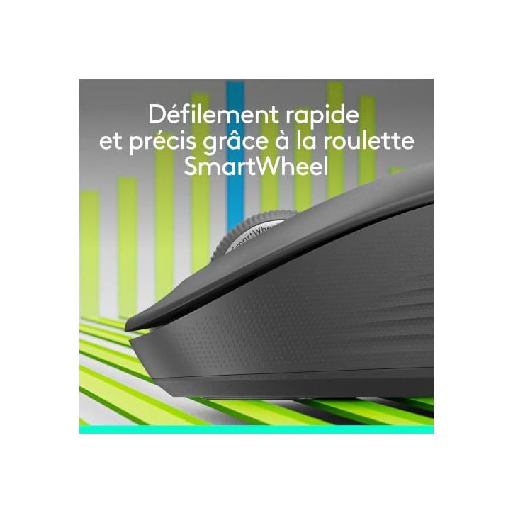 Souris - Sans fil - Logitech - M550 L - Graphite