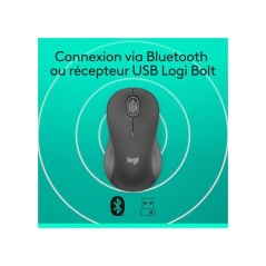 Souris - Sans fil - Logitech - M550 L - Graphite