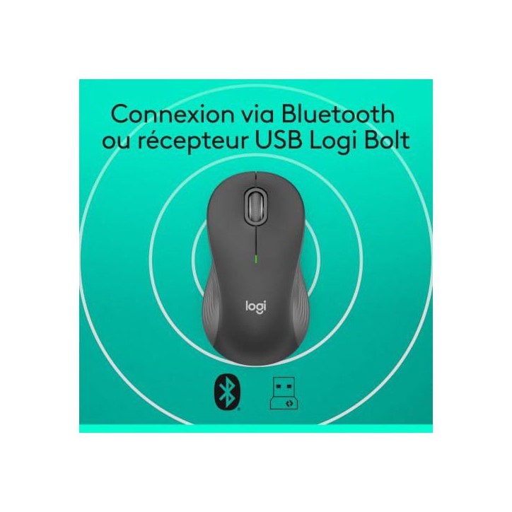 Souris - Sans fil - Logitech - M550 L - Graphite