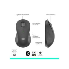Souris - Sans fil - Logitech - M550 L - Graphite