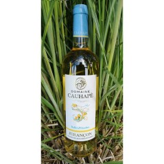 Domaine Cauhapé Ballet d'Octobre 2024 - AOC Jurançon - Vin blanc du
