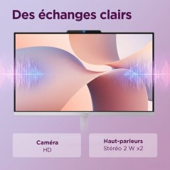 PC Tout-en-un LENOVO Lenovo A105 24 - Sans Windows - 23.8 FHD - Ryzen