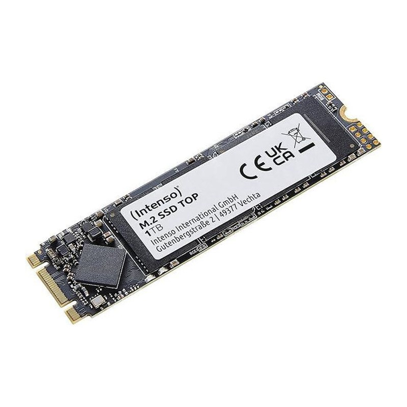 INTENSO - Top - SSD Interne - 1 To - M.2 SATA III 6 Gb/s - Vitesse de