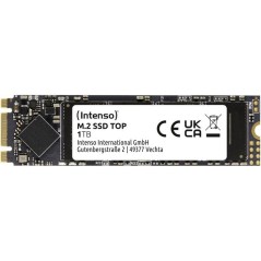 INTENSO - Top - SSD Interne - 1 To - M.2 SATA III 6 Gb/s - Vitesse de lecture jusqu'a 520 Mo/s