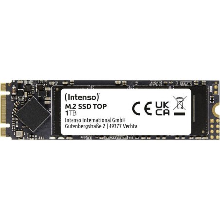 INTENSO - Top - SSD Interne - 1 To - M.2 SATA III 6 Gb/s - Vitesse de lecture jusqu'a 520 Mo/s