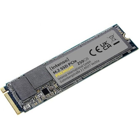 INTENSO - Premium - SSD Interne - 250 Go - NVMe M.2 PCIe Gen 3x4 - Vit