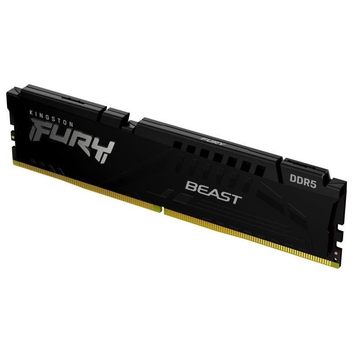 KINGSTON TECHNOLOGY FURY Beast RAM DDR5 16 Go (2 x 8 Go) 5200 MHz CL40