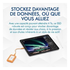 LaCie Rugged Mini SSD 500 Go