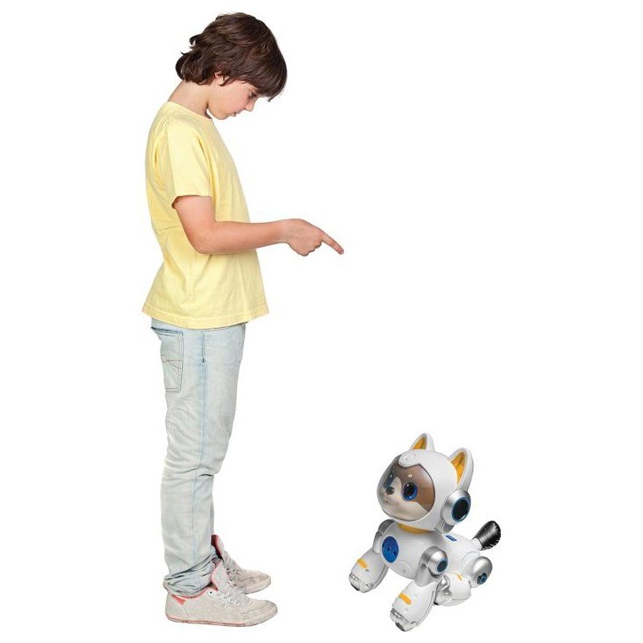 LEXIBOOK - Cyber Power Puppy – Mon fidele compagnon high-tech - Commande vocale télécommandé - Danse marche imite un vrai c LEXIBOOK - Cyber Power Puppy – Mon fidele compagnon high-tech - Commande vocale télécommandé - Danse marche imite un vrai c
