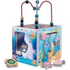 Jouer et Apprendre Cube Sensoriel - Cube multi-activités - LISCIANI -