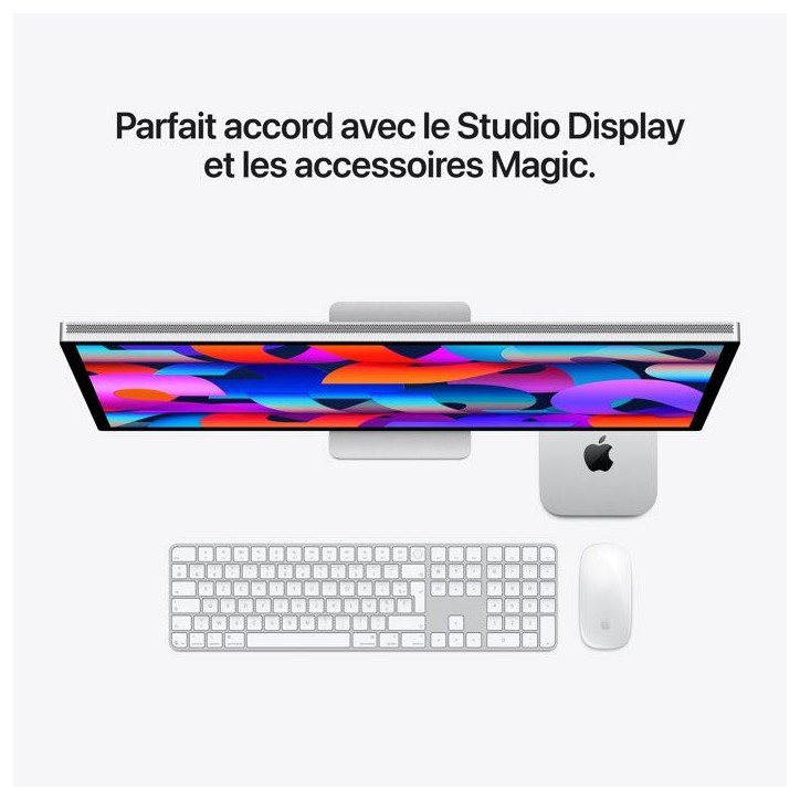 APPLE - Mac mini - M5 Pro - 24 Go - 512 Go SSD APPLE - Mac mini - M5 Pro - 24 Go - 512 Go SSD