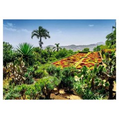Puzzle 1000 pieces - NATHAN JEUX - Ravensburger - Botanique - Paysage et nature - Multicolore