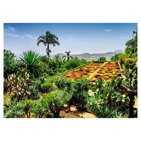 Puzzle 1000 pieces - NATHAN JEUX - Ravensburger - Botanique - Paysage et nature - Multicolore