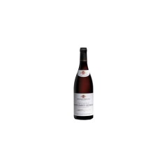 Domaine Bouchard Pere & Fils 2020 Nuits-Saint-Georges - Vin rouge de B
