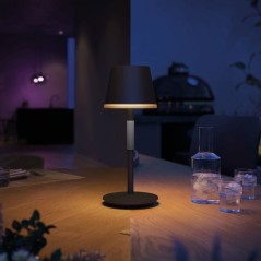 Lampe a poser LED mobile - PHILIPS HUE - Go - lumiere blanche et color