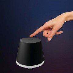 Lampe a poser LED mobile - PHILIPS HUE - Go - lumiere blanche et color