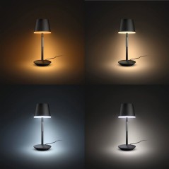 Lampe a poser LED mobile - PHILIPS HUE - Go - lumiere blanche et color