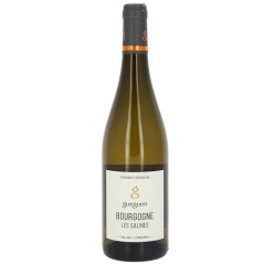Domaine Céline et Fréderic Gueguen 2023 Bourgogne Côtes Salines - V