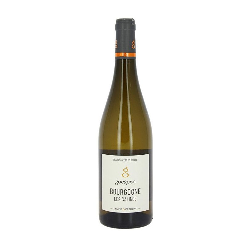 Domaine Céline et Fréderic Gueguen 2023 Bourgogne Côtes Salines - V