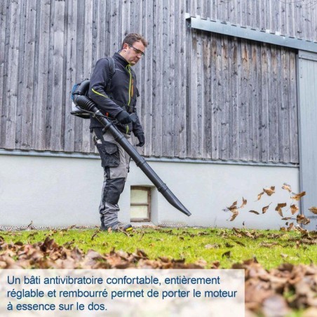 Souffleur thermique a dos PLB52BP