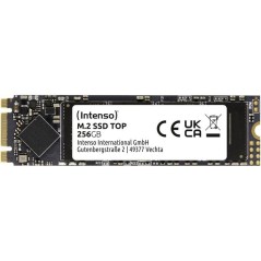 INTENSO - Top - SSD Interne - 256 Go - M.2 SATA III 6 Gb/s - Vitesse d