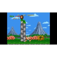 Joe & Mac: Retro Collection - Édition Rock - Jeu Switch