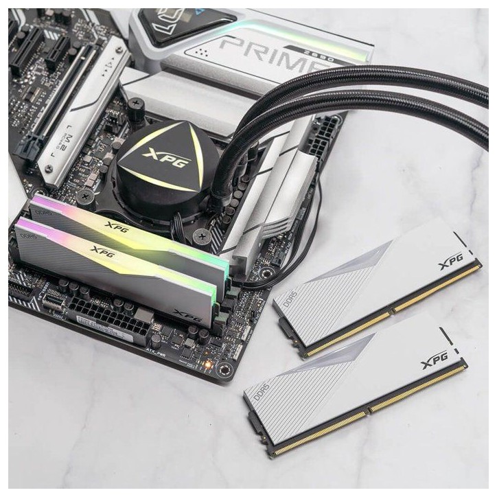 Barrette mémoire PC - ADATA - LANCER RGB - 16 Go DDR5 - U-DIMM - 6000 MHz CL40 Blanc Barrette mémoire PC - ADATA - LANCER RGB - 16 Go DDR5 - U-DIMM - 6000 MHz CL40 Blanc