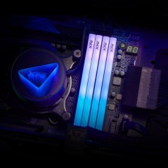 Barrette mémoire PC - ADATA - LANCER BLADE RGB - 8 Go DDR5 - U-DIMM -