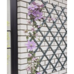 Treillis extensible - NATURE - En plastique Anthracite - 100 x 200 cm