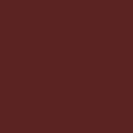Peinture Extreme bois - Rouge basque RAL 3004 satin - RIPOLIN - 2,5 L