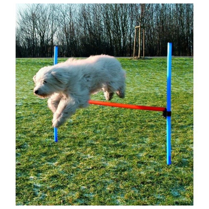 TRIXIE Obstacle de saut 123x115 cm Plastique