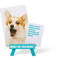 Jeu d'ambiance familial - WHAT DO YOU MEME - Family Edition - Humour e