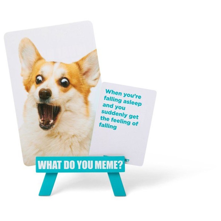 Jeu d'ambiance familial - WHAT DO YOU MEME - Family Edition - Humour et créativité - Dès 8 ans