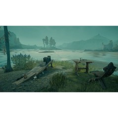 Hogwarts Legacy : L'Héritage de Poudlard CIB - Jeu Nintendo Switch