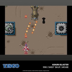 Visco Arcade Collection 1 EVER - Jeu Evercade
