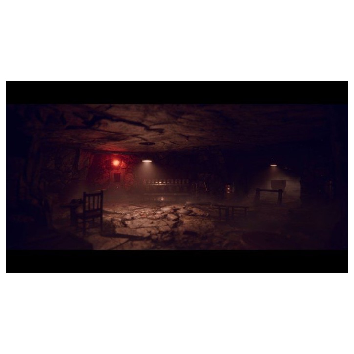 Project Songbird - Jeu PS5