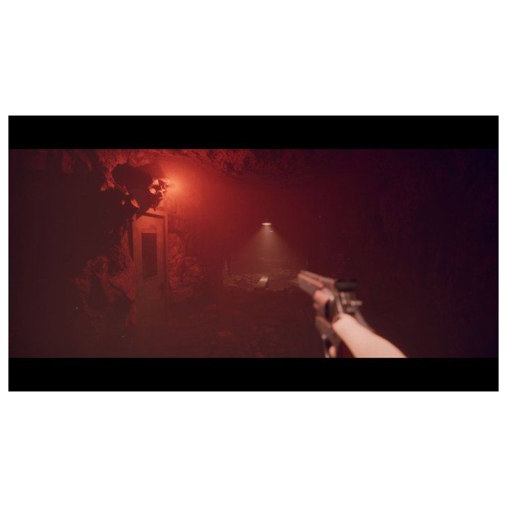 Project Songbird - Jeu PS5