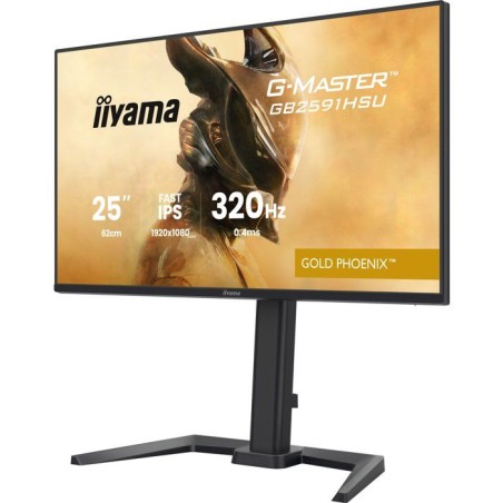 Écran PC Gaming - IIYAMA G-MASTER - Gold Phoenix GB2591HSU-B1 24.5 - 1920x1080 320Hz