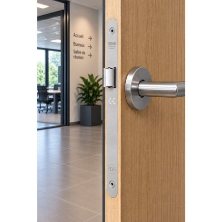 Serrure a encastrer - ABUS - SEBAT 50 BDC NF - Bec de cane - Réversible - Axe 50 mm