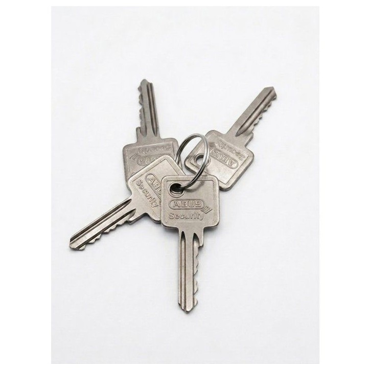 Verrou de porte - ABUS - V83 CC 45 - Double cylindre - Bronze - Coffre acier Verrou de porte - ABUS - V83 CC 45 - Double cylindre - Bronze - Coffre acier