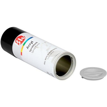Cachette secrete - BURG-WÄCHTER - Can-Safe CS 30 - Compartiment secret - Imitation spray - Réaliste