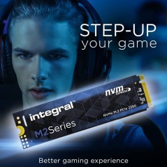 INTEGRAL - M.2 2280 NVMe PCIe Gen3 x4 - SSD interne - 1 To - M.2 2280