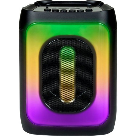 Mini haute puissance 30W - BIGBEN PARTY