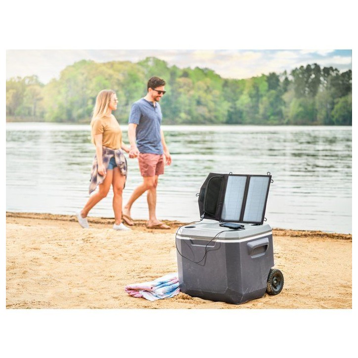 Panneau solaire - RYOBI - RYSP14A - 14W - USB
