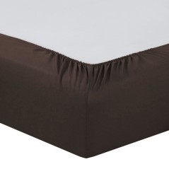 Vision - Drap housse Chocolat - 160x200cm - 100% coton