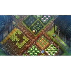 Village in the Shade - Édition Deluxe • Jeu Nintendo Switch 2