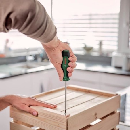 Bosch - Set de 6 tournevis Premium avec magnétiseur (6 tournevis en acier S2 extra dur magnétiseur démagnétiseur)