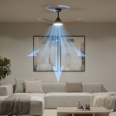 Ventilateur de plafond - Philips - Olas - Pales fixes - Diametre 106 c