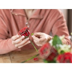 Puzzle 3D en bois - REVELL - Tiny Adventures - Reve de Roses - Fleurs