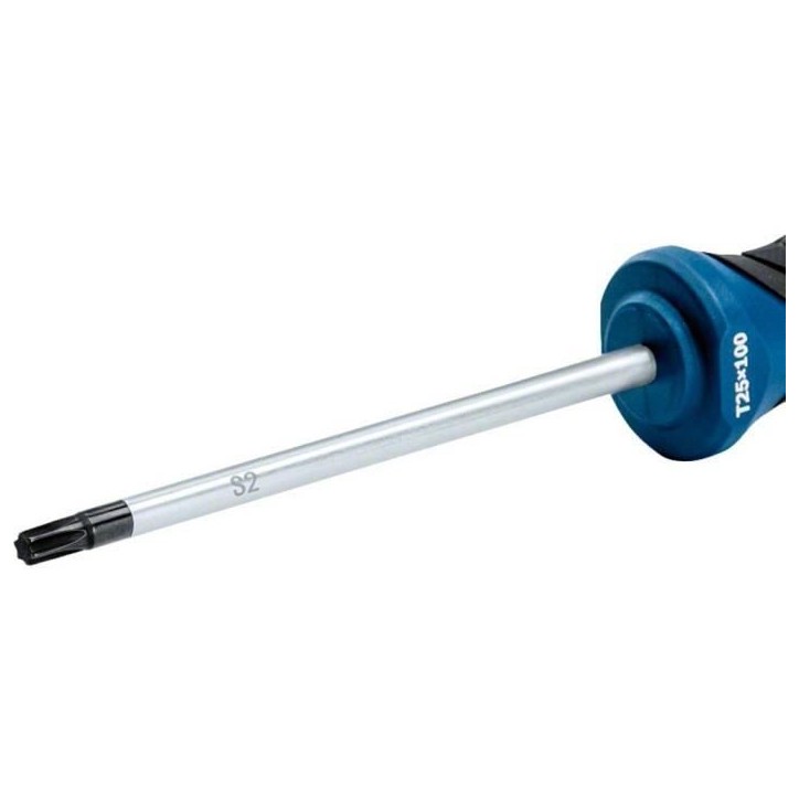 Bosch Professional - Tournevis TX 25x100 Bosch Professional - Tournevis TX 25x100